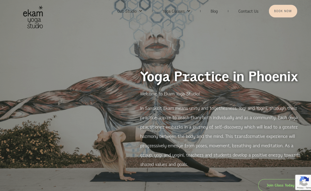 Effective small business USA website owned by a French woman.