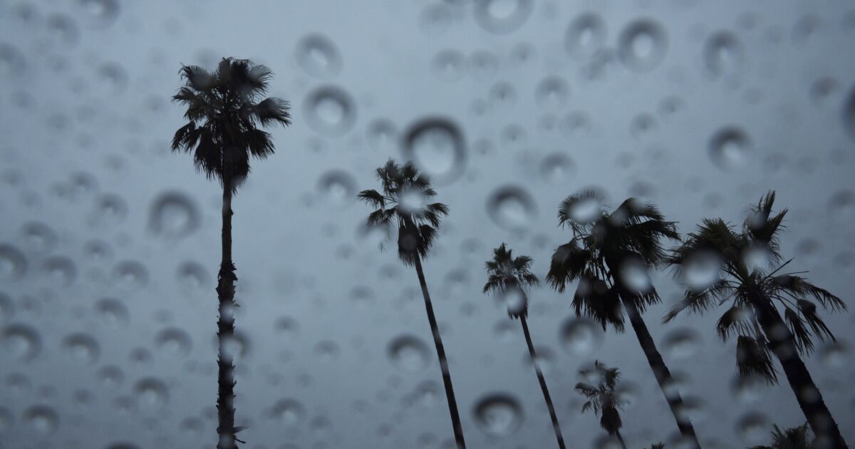 Swiss Re integrates data into internal catastrophe model